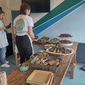 IMG_20250607_180210.jpg