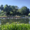 IMG_20250618_163514.jpg