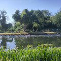IMG_20250618_163516.jpg
