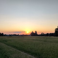 IMG_20250618_205619.jpg